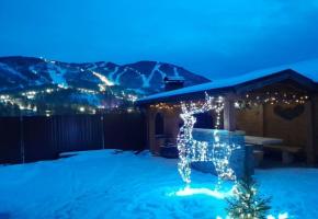 Кедровая вилла Villas Viktoria