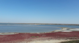 Пляж Бухта Ярылгач