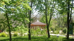 Ботанический сад 