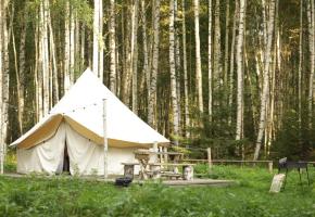 Берег Грифона. Глэмпинг • Эльфийская деревня