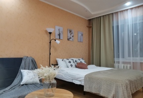 1к. квартира в Самаре