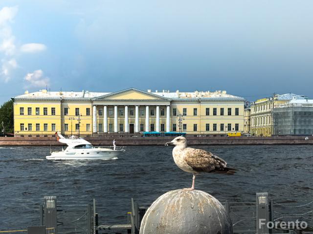 Российская академия наук