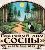 Гостевой дом «Сосны», Стандарт 2-местный
