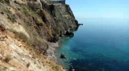 Пляж Царское село