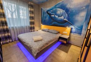 Студия Акула