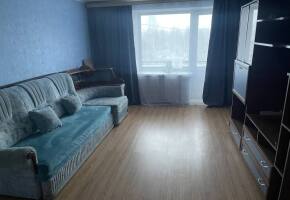 Просторная квартира до 6 гостей