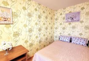 Светлая 1-к. квартира у Реадовского парка