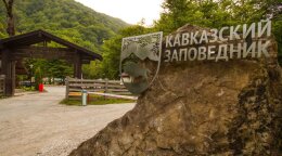 Вольерный комплекс