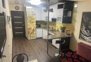 1к. квартира в Пушкине