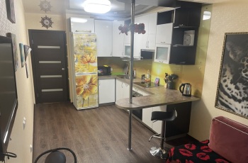 1к. квартира в Пушкине