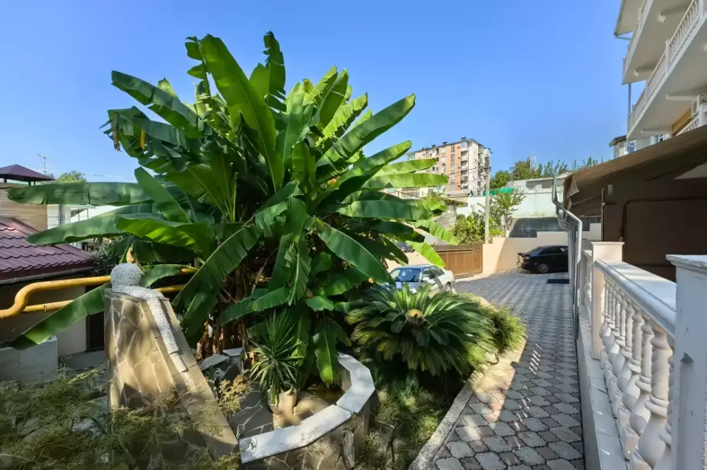Фото 4-10977739