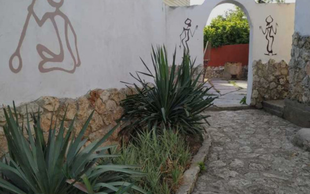 Фото 7-9449714