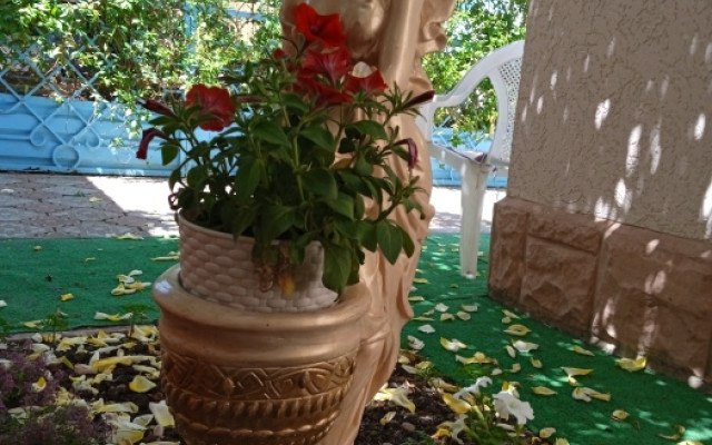 Фото 4-9570715