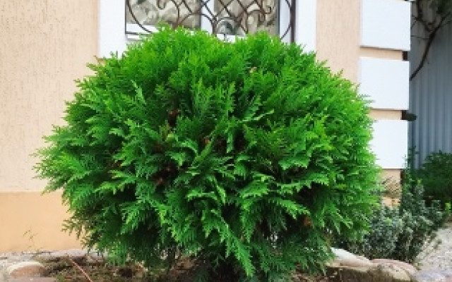 Фото 7-9760567