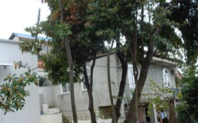 Фото 6-9800221