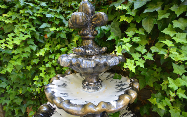 Фото 2-9988076