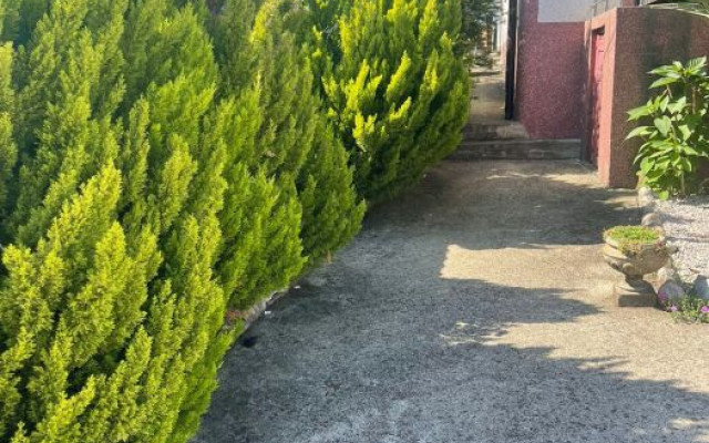 Фото 6-9895007