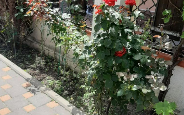 Фото 3-9957561