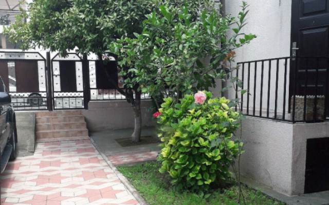 Фото 3-9752193
