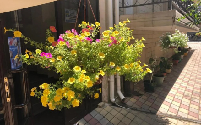 Фото 7-9960175