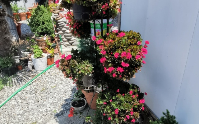 Фото 5-9600099
