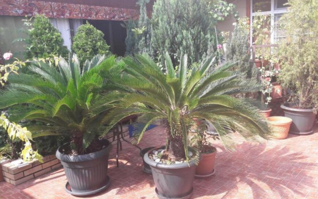 Фото 7-9782052