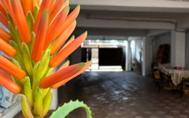 Фото 3-9971223