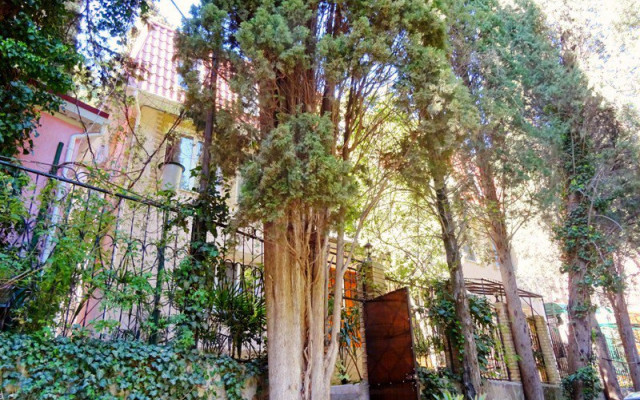 Фото 3-9556036