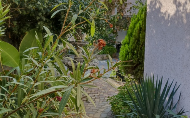 Фото 7-9805348