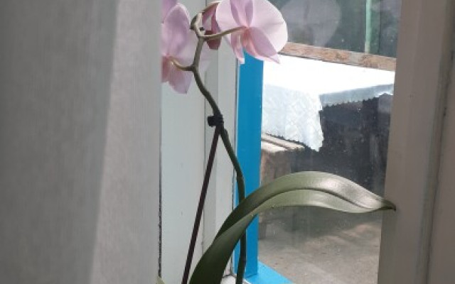Фото 4-9862352