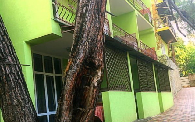 Фото 3-9889352
