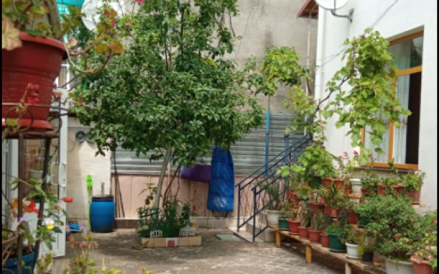 Фото 4-9987438