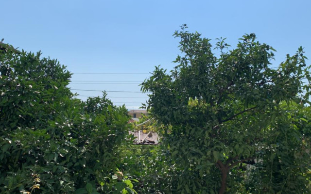 Фото 6-9947032