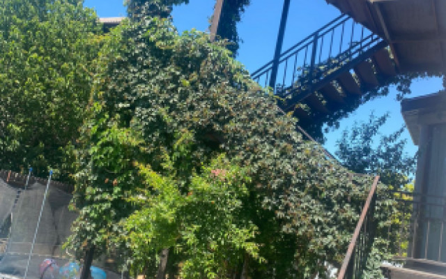 Фото 7-10361420