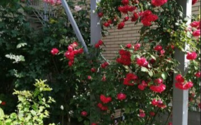 Фото 3-9802291