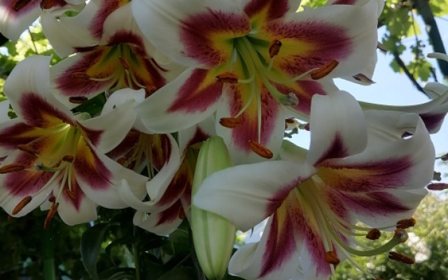 Фото 6-9724806