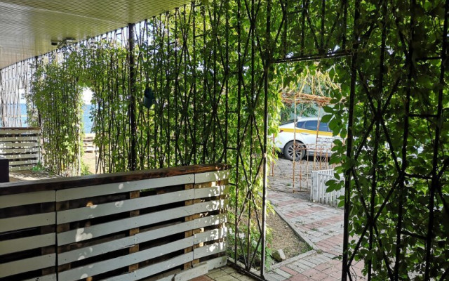 Фото 3-9910684