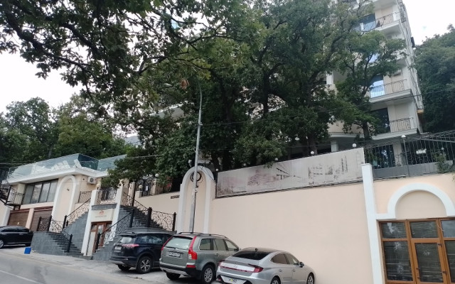 Фото 3-9904083