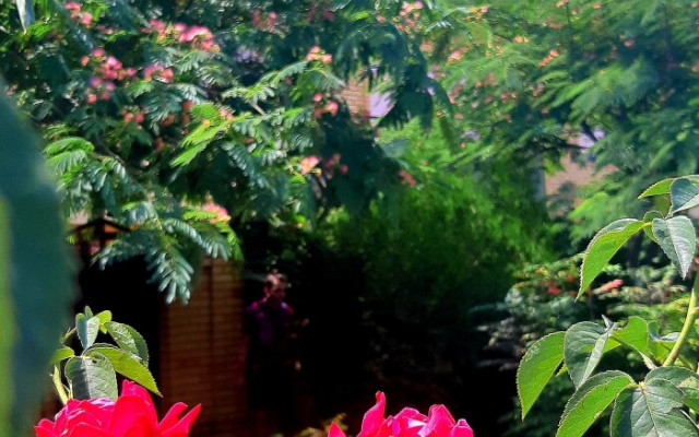 Фото 4-9473427