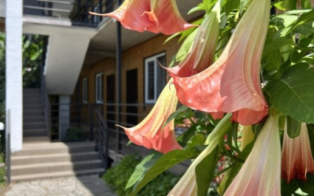 Фото 7-10633735