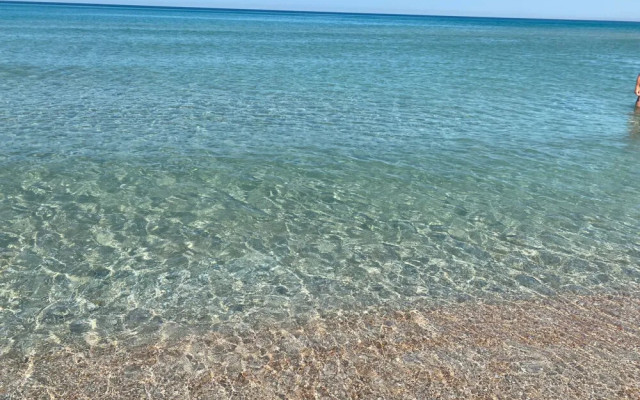 Фото 3-10524627