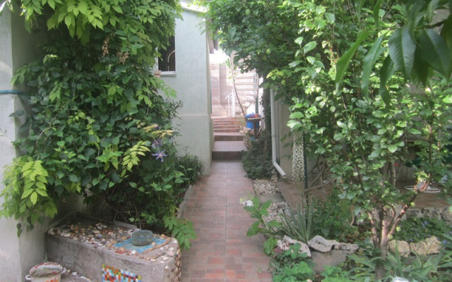Фото 6-9795591