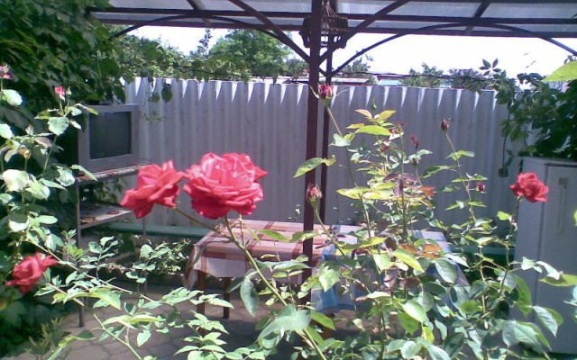 Фото 3-9876327