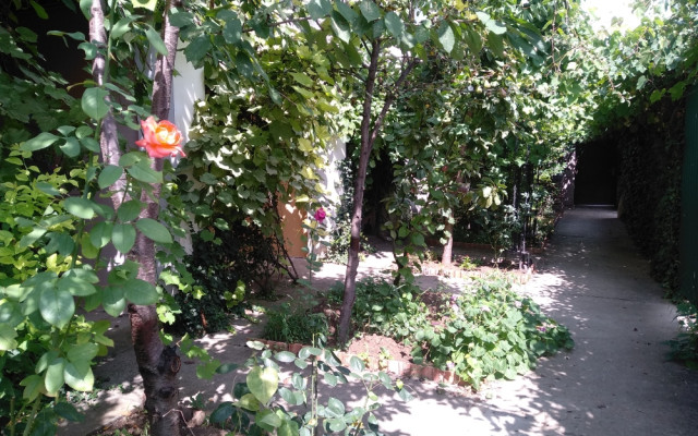 Фото 7-9543907