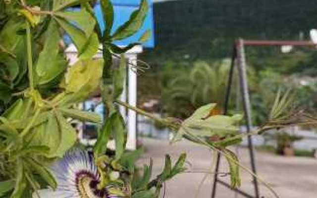 Фото 4-10449458
