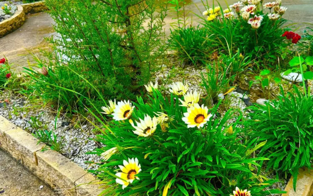 Фото 3-10340450