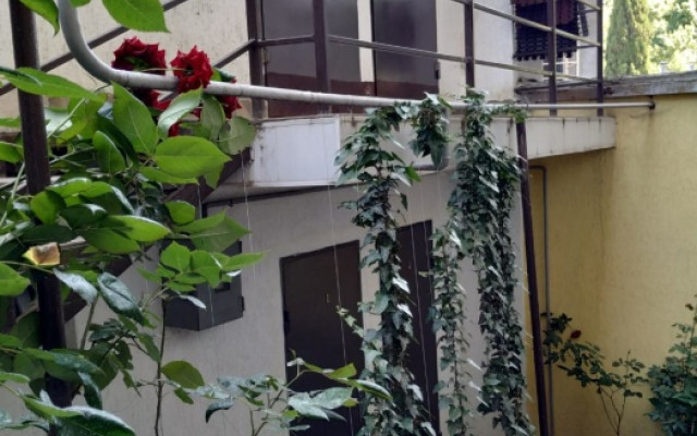 Фото 3-9517306