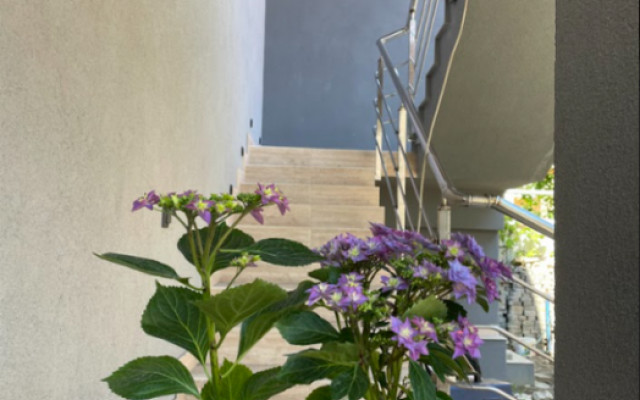 Фото 3-9755395