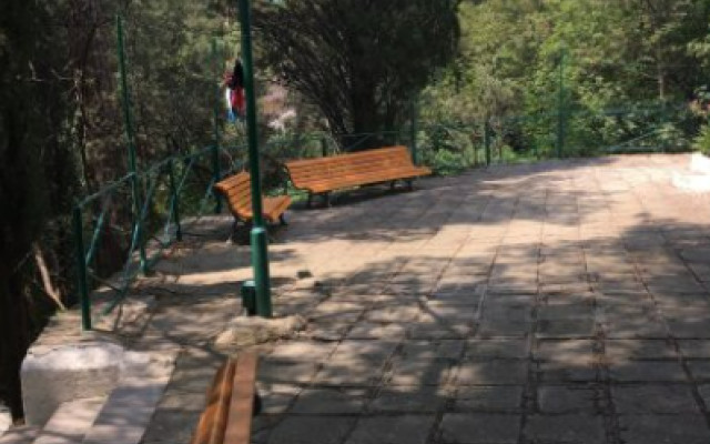 Фото 6-9889350