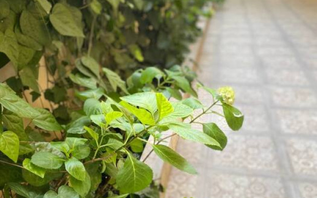 Фото 3-10140738